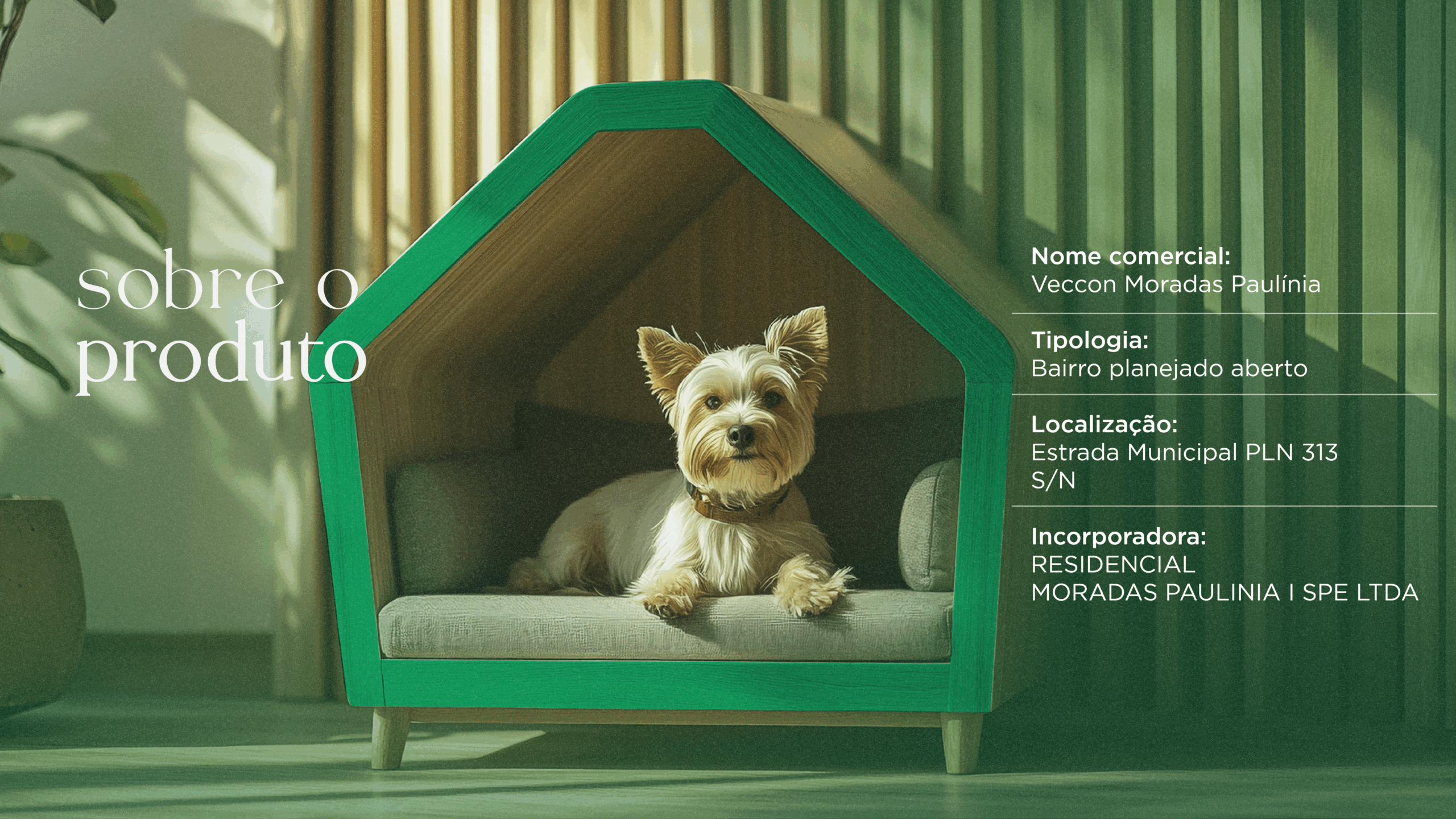 book_corretor_moradas_paulinia_Prancheta 1 cópia 6